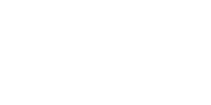 RIBA Chartered Practice - 20010204 - White
